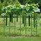 50 Pack 46 in Plastic-Coated Metal Garden Stakes for Tomato Climbing Plants